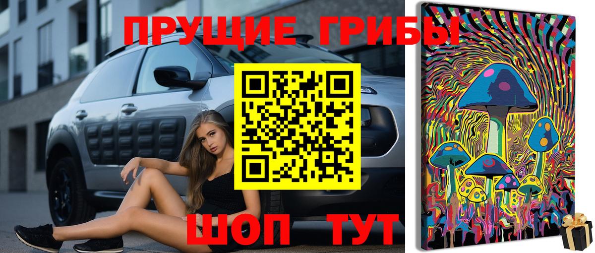 Псилоцибиновые грибы GOLDEN TEACHER Елабуга